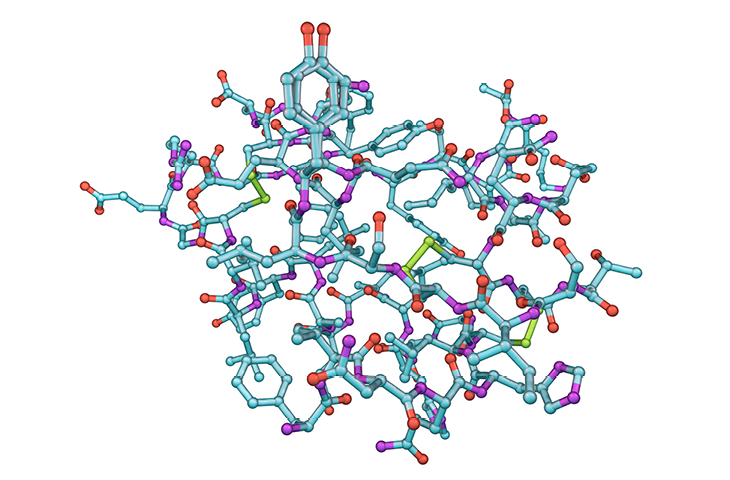 Insulina medicamento biosimilar