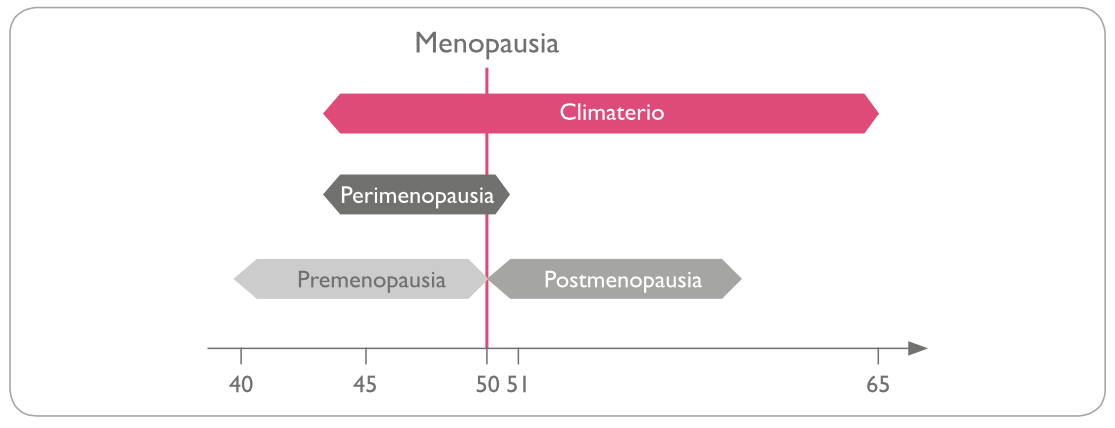 menopausia grafica