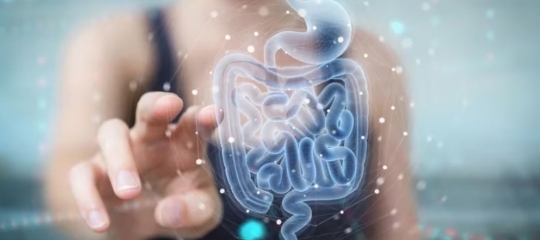 El torso de una persona que señala un aparato digestivo virtual que flota delante de ella