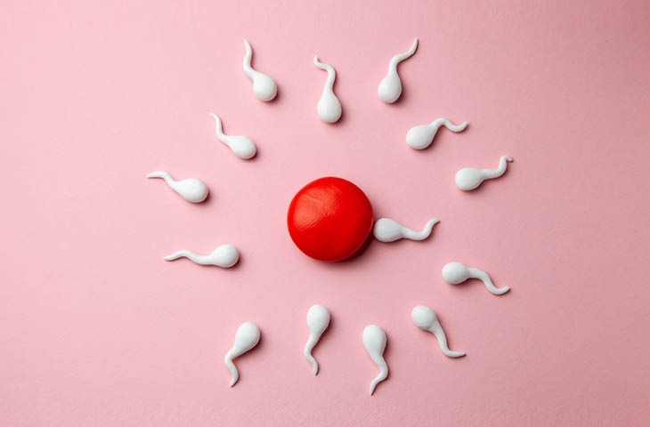 Infertilidad masculina y antioxidantes. Gestagyn® Men Gynea