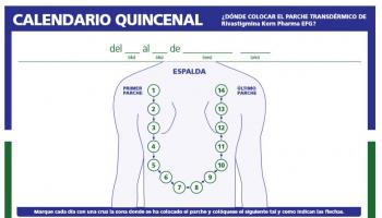 Calendario Quincenal parches