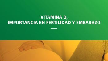Imagen del PDF Vitamina D, Importancia en Fertilidad y Embarazo